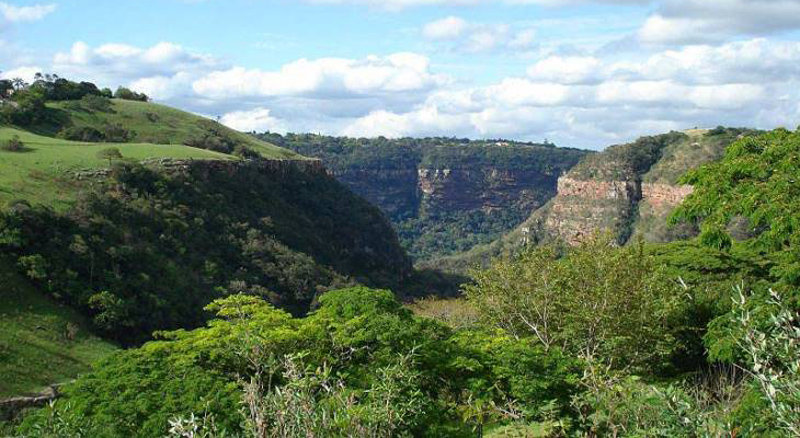 Durban KZN Nature